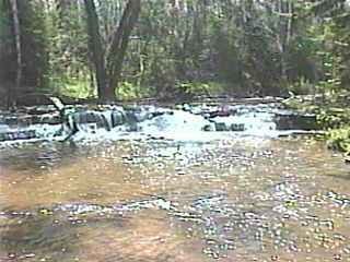 short ledge upstream of road