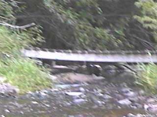 footbridge