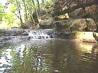 Pewitt's Nest - 1st Falls