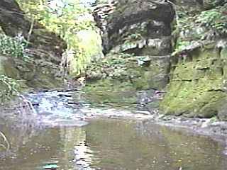 Pewitt's Nest - 2nd Falls