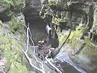 Pewitt's Nest - looking down 4th Falls