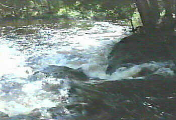 Third_Falls