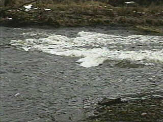 Closer view
