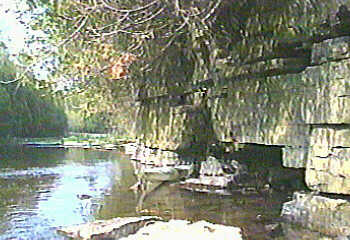 small dells below Kvitek Road (below minimum level