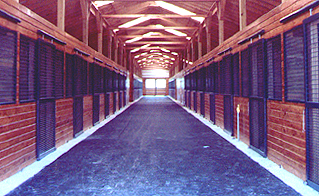 Horse stall mats in the barn aisleway
