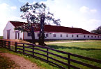 Midwest Sorce Large Horse Barn