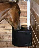 EQUI Fount 1100 model waterer