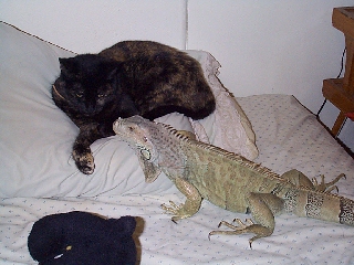 et_&_avery