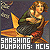 S+P Mellon Collie and the Infinite Sadness Fan