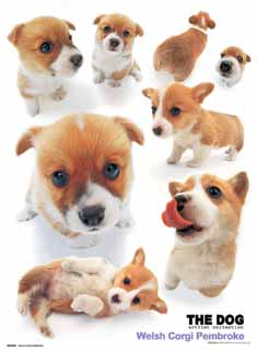 aww~ aren't they so cute~~