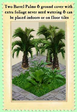 indoor barrel palms