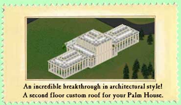 Custom Roof
