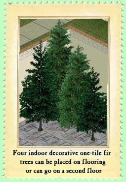 Indoor Fir trees