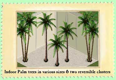 Lots of palm trees