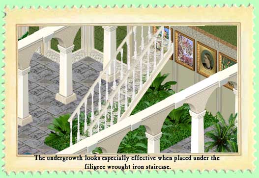 Plants under staircase
