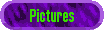 Photo Gallery
