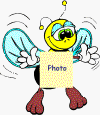 BEE.gif (180448 bytes)