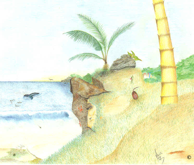 �Beach Whales