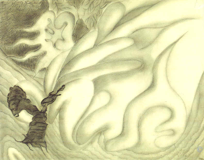 �Amoebas.jpg (49286 octets)