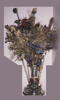 �Cone Flower pot