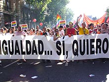 La manifestaci&oacute;n del Orgullo Gay celebr&oacute; la nueva norma/Foto:Marta Prieto