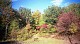 2000fallcolors01.jpg