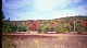 2000fallcolors05.jpg