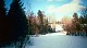 woodswinter20002.jpg