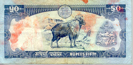 Nep50b.bmp (468738 bytes)