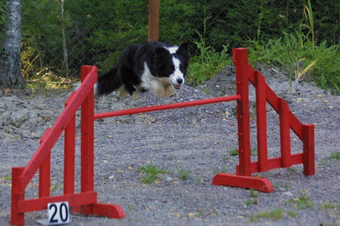 Photo Jari Nevalainen
