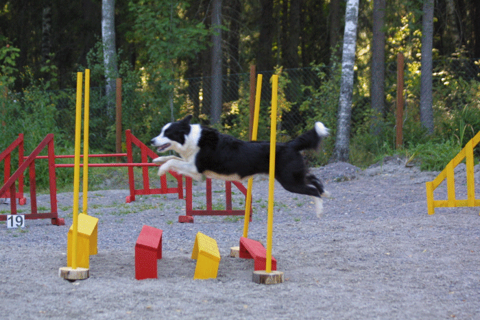 Photo Jari Nevalainen