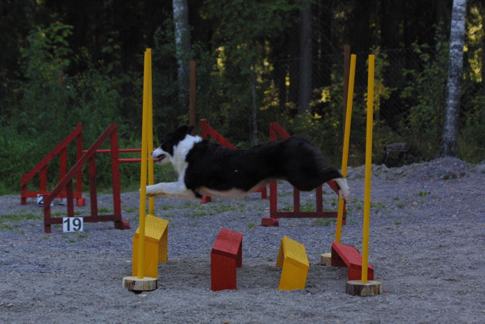 Photo Jari Nevalainen