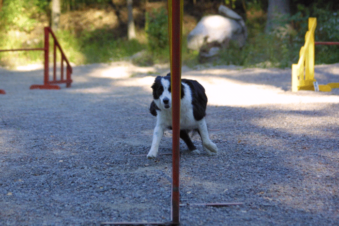 Photo Jari Nevalainen
