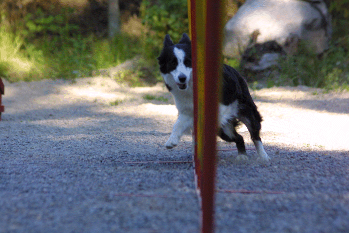Photo Jari Nevalainen