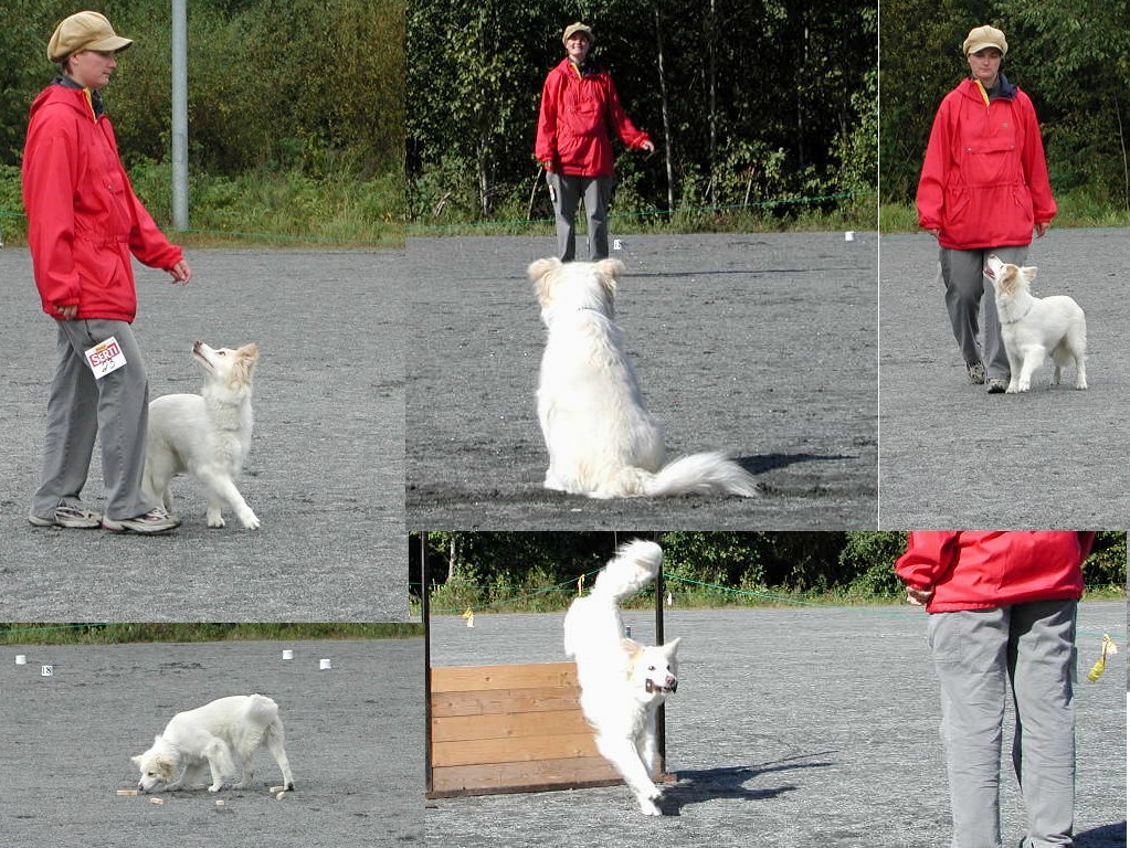 (c) Suvi Malinen