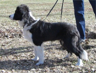Otto 8.5.2003 (4 kk) kuva Miia Mustonen