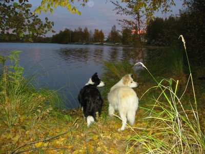 (c) Miia Mustonen