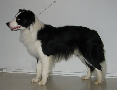 Riemu 10 kk