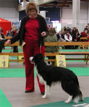 (c) VP Ala-Lahti