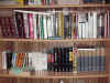 books with flash.JPG (115134 bytes)
