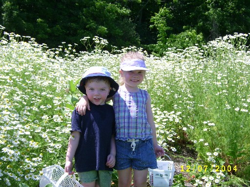 summer 2004