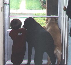It is our duty to protect the house, okay Jasper and Molly