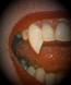 Lestat