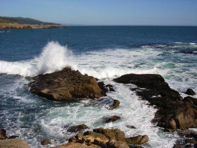 Salt Point State Park, California.&nbsp; About 25 miles north of Bodega Bay on the Highway 1.