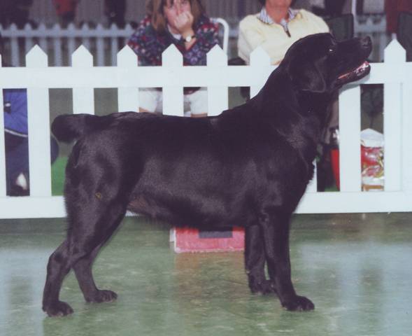 IMG_2000.2belle
