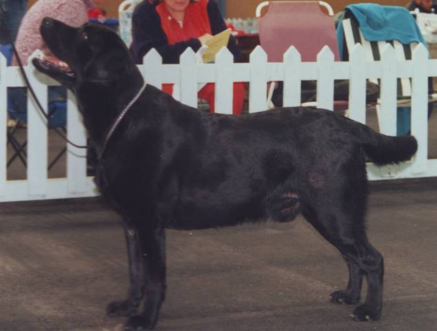 IMG_2003bosley