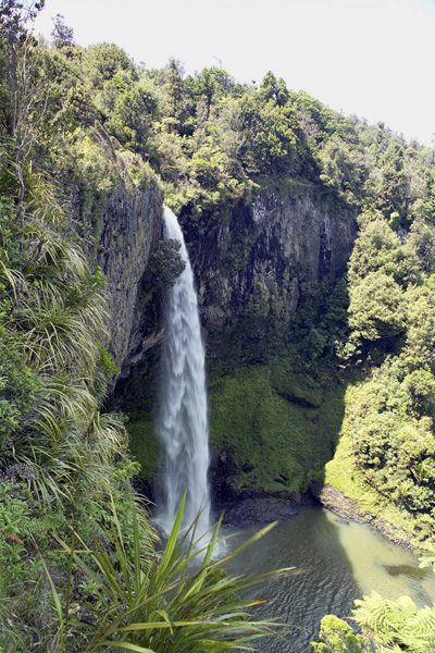 Image Number 