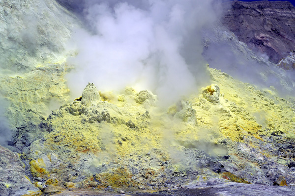 Image Number 