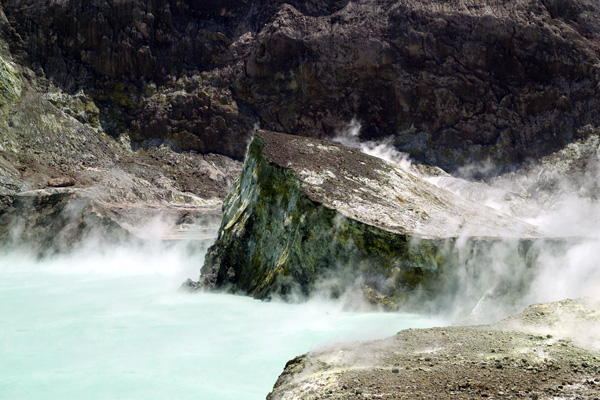 Image Number 