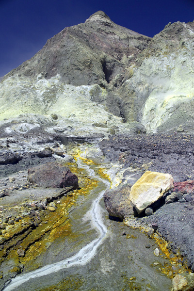 Image Number 